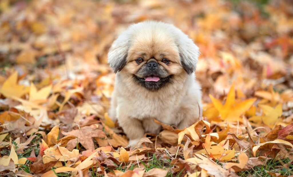 離婚が子供に与える影響とはどのようなものか？