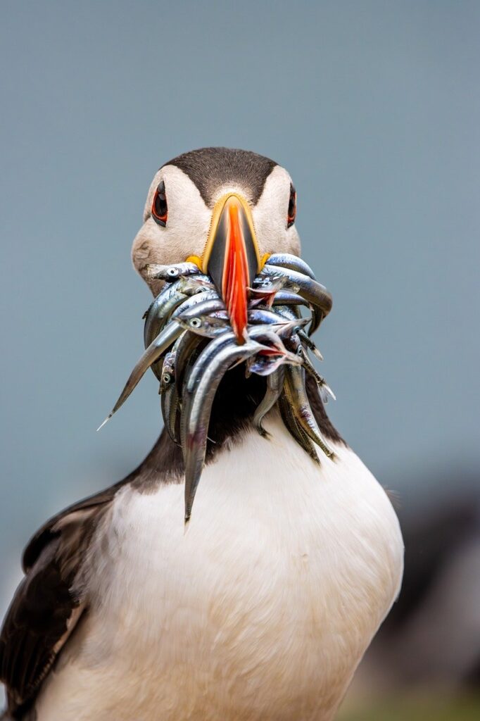 離婚時の財産分与後の生活費シミュレーションはどうするべき？