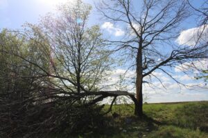 離婚時の代償分割返済に関する取り決めはどうすれば良い？